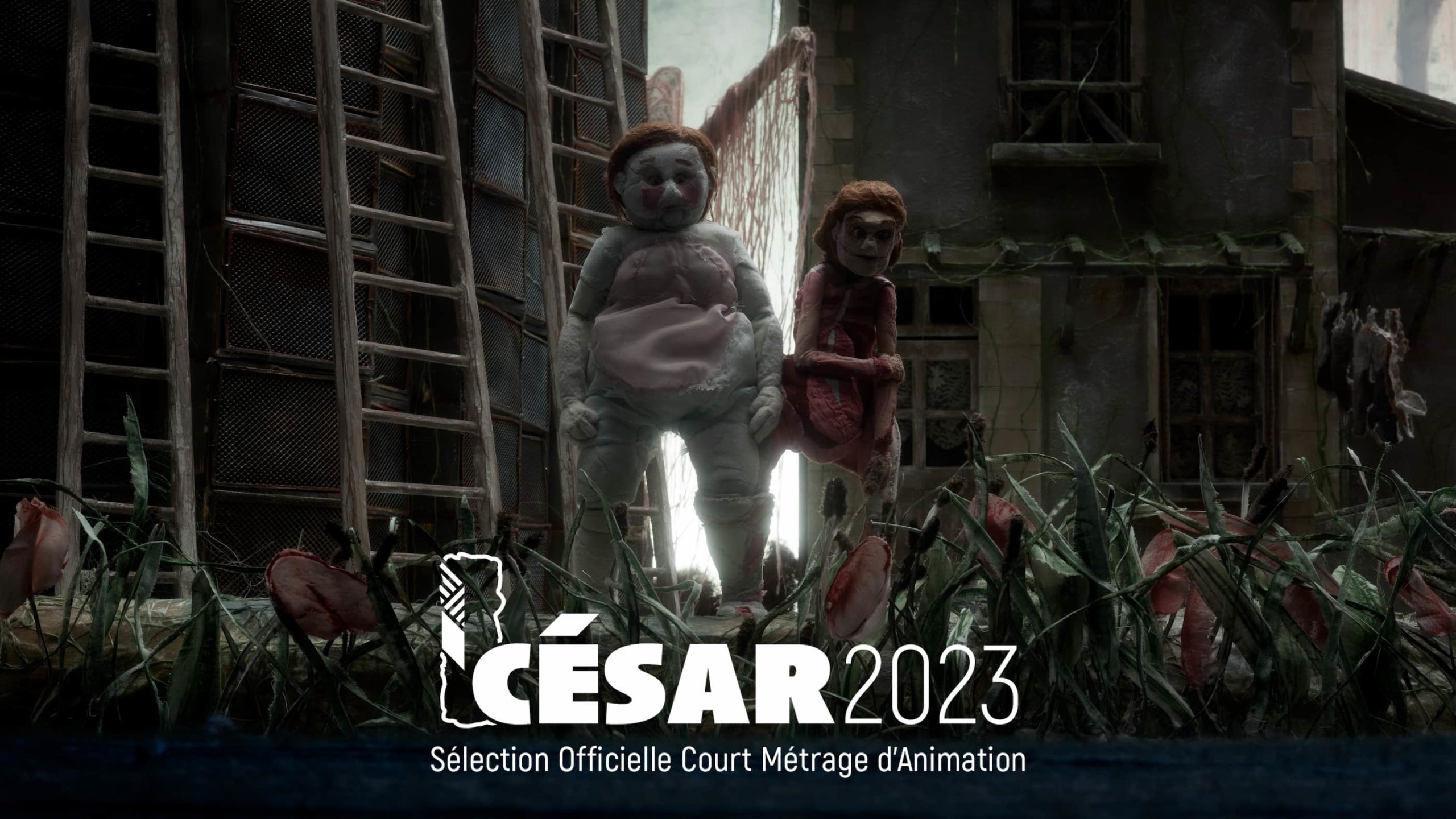 Cesar_Lauriers